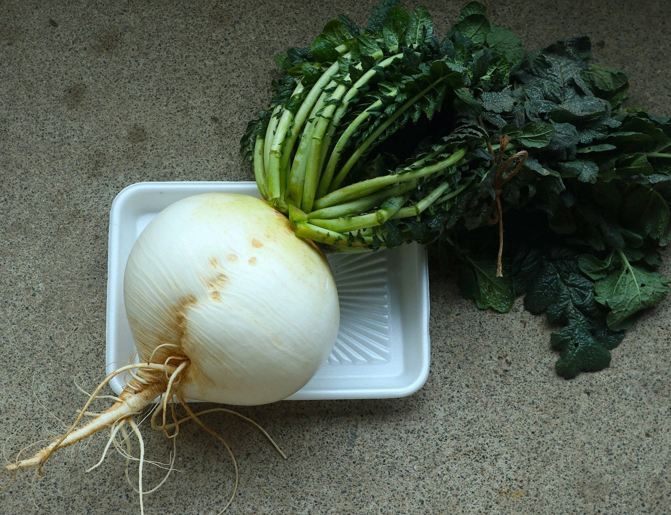 Asian-American Pioneer Vegetables - Northwest Meadowscapes