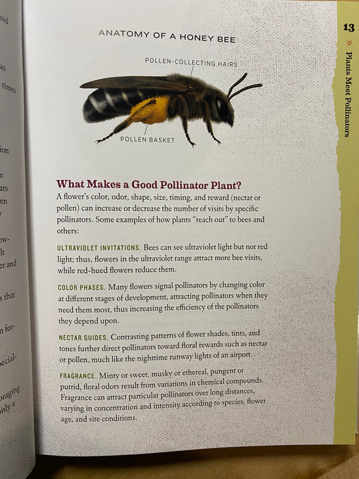 100 Plants to Feed the Bees (A Xerces Society Book – Hardcover Edition)