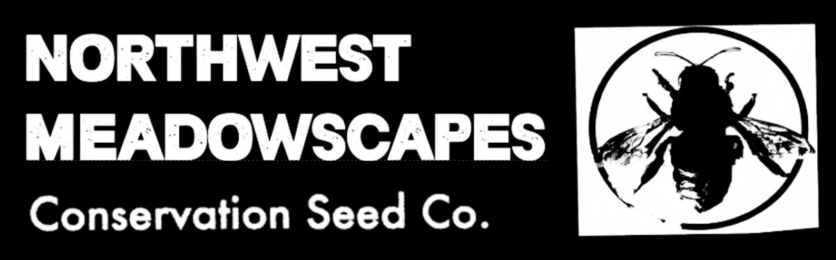 northwestmeadowscapes.com