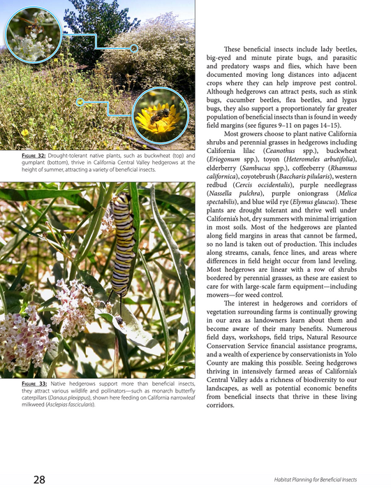 Habitat Planning for Beneficial Insects (A Xerces Society Guidebook)