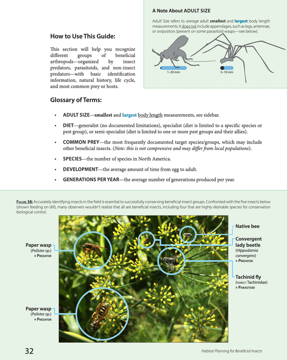 Habitat Planning for Beneficial Insects (A Xerces Society Guidebook)