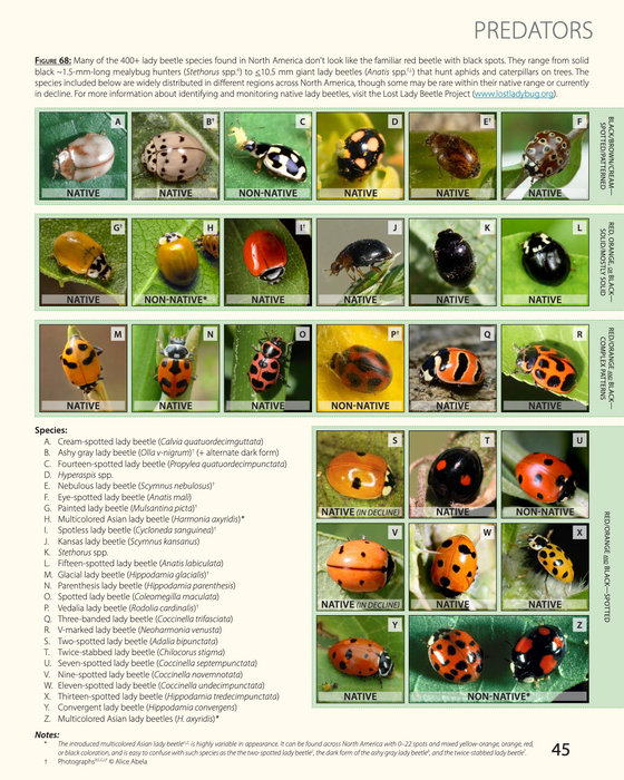 Habitat Planning for Beneficial Insects (A Xerces Society Guidebook)
