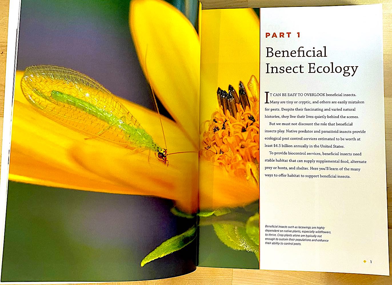 Meadow and Beneficial Insect Books