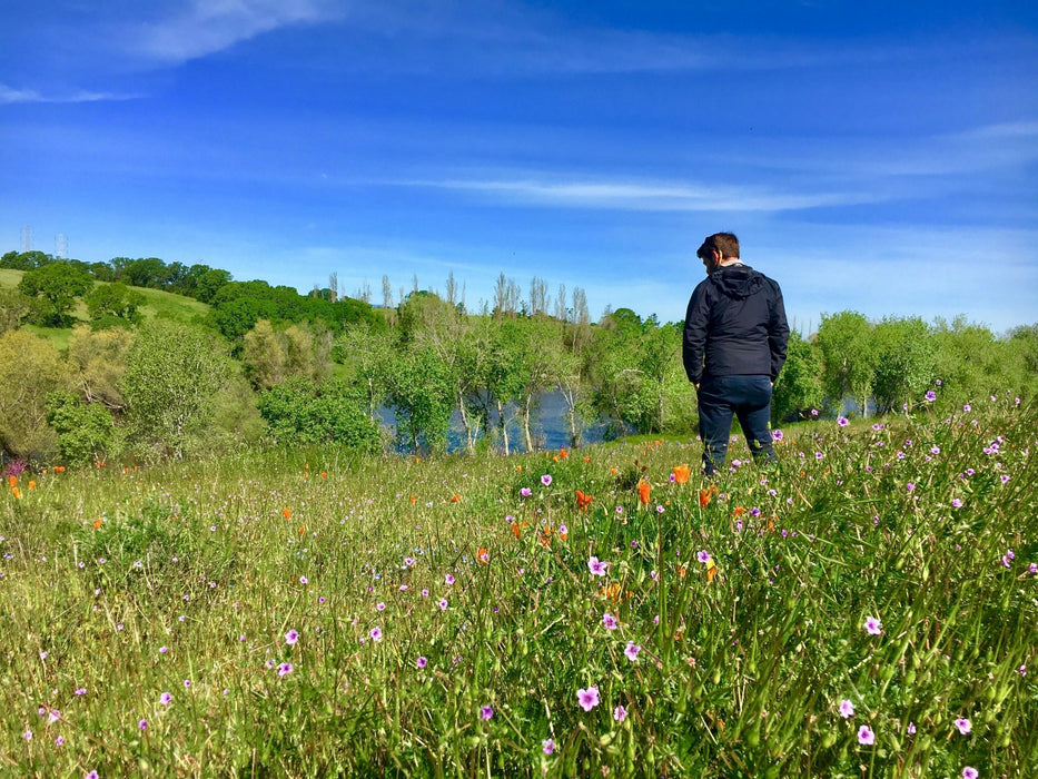 California Wild Lawn Seed Mix - Northwest Meadowscapes