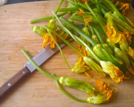 Cocozella di Napoli Seeds - Northwest Meadowscapes