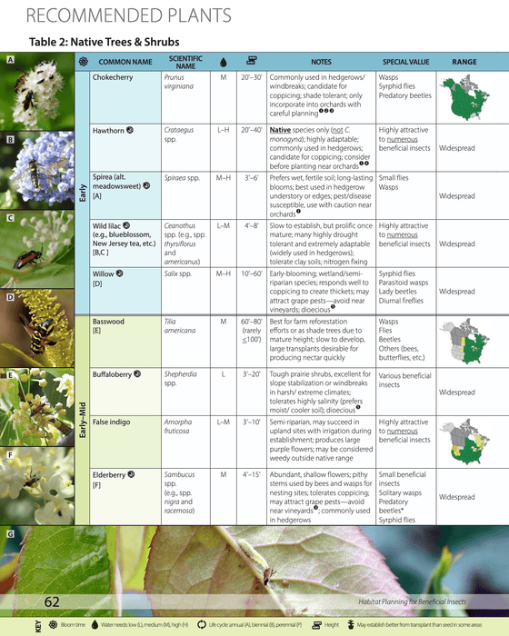 Habitat Planning for Beneficial Insects (A Xerces Society Guidebook) - Northwest Meadowscapes