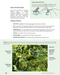 Habitat Planning for Beneficial Insects (A Xerces Society Guidebook) - Northwest Meadowscapes
