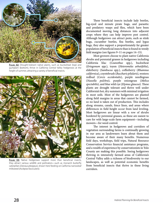 Habitat Planning for Beneficial Insects (A Xerces Society Guidebook) - Northwest Meadowscapes