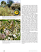 Habitat Planning for Beneficial Insects (A Xerces Society Guidebook) - Northwest Meadowscapes