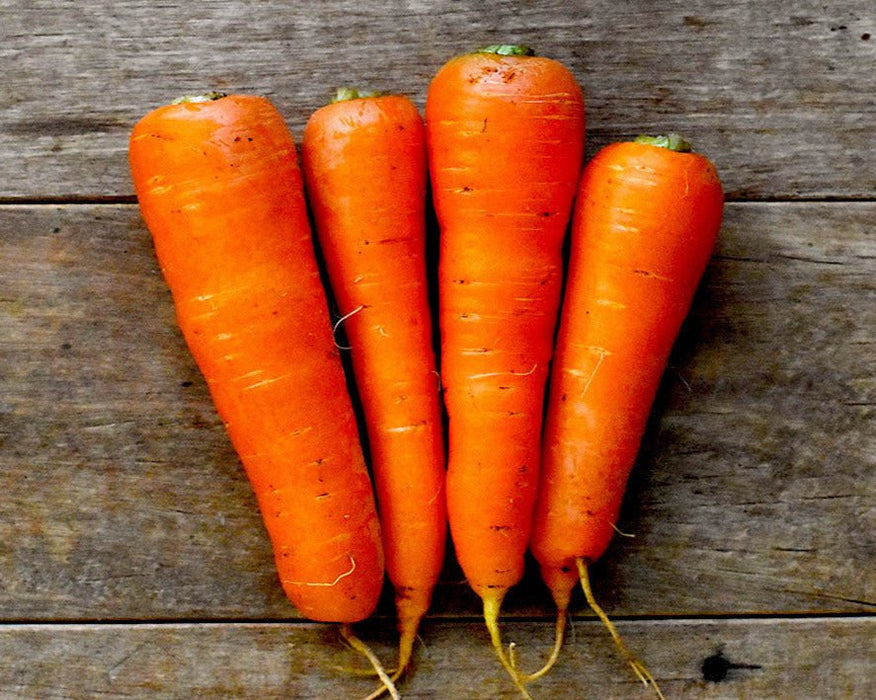 HonKuroda Carrot Seeds (本黒田ニンジン) — Northwest Meadowscapes