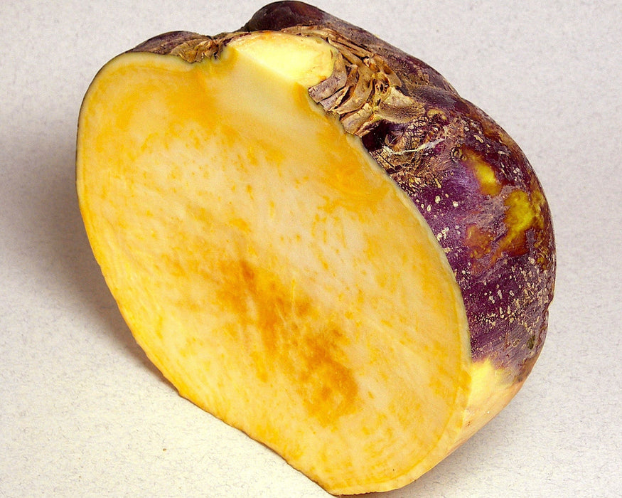 'Joan' Rutabaga Seeds (Organic/Disease Resistant/Cool - Wet Climate Adapted) - Northwest Meadowscapes