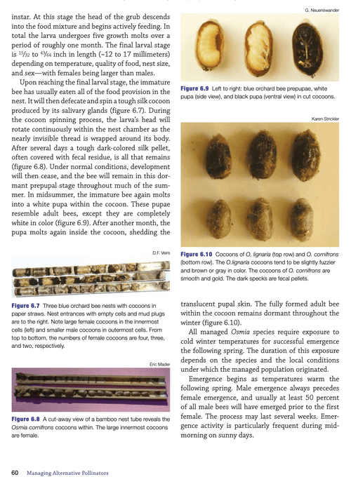 Managing Alternative Pollinators (Book) - Northwest Meadowscapes