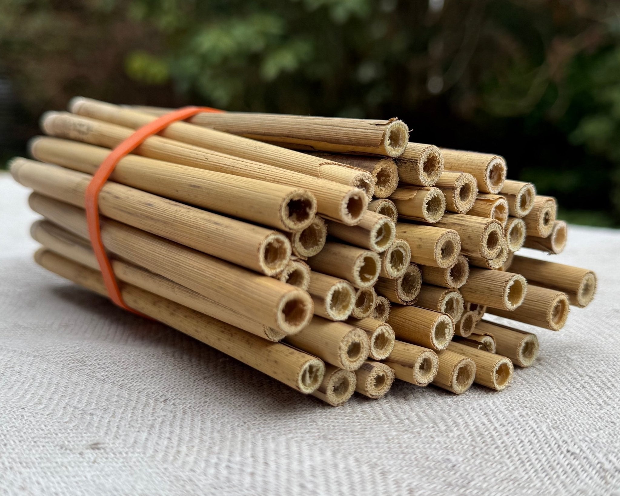 Natural Reeds for Mason and Leafcutter Bees (50-bundle) — Northwest ...
