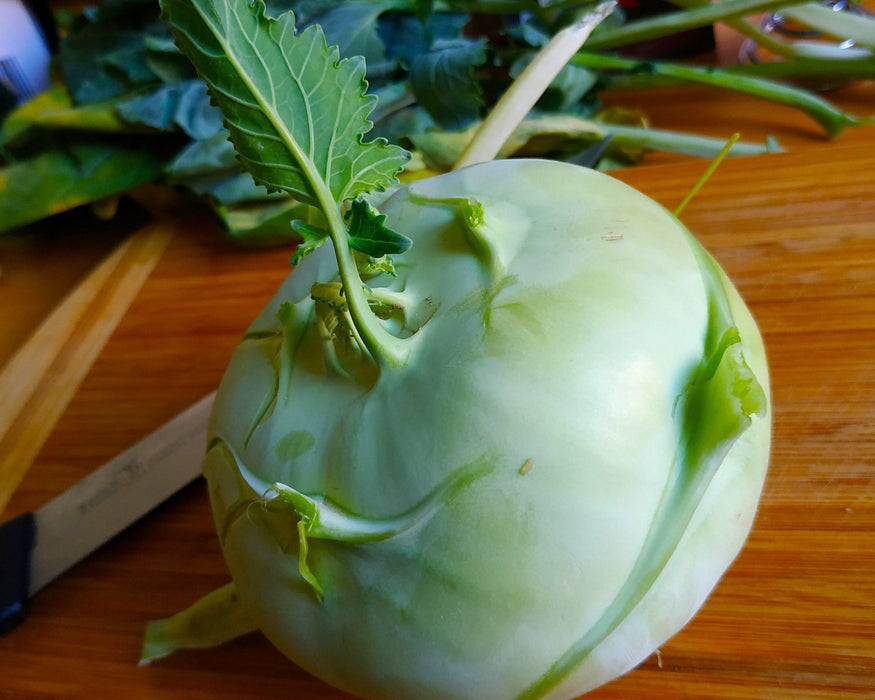 Superschmelz Gigante Lagerkohlrabi Seeds - Northwest Meadowscapes