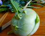 Superschmelz Gigante Lagerkohlrabi Seeds - Northwest Meadowscapes