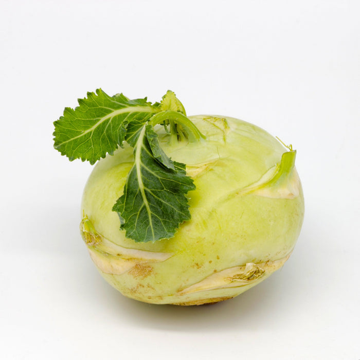 Superschmelz Gigante Lagerkohlrabi Seeds - Northwest Meadowscapes