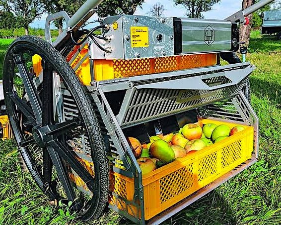 The Obstraupe Agroforestry Fruit and Nut Harvester! - Northwest Meadowscapes
