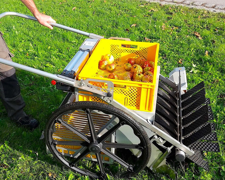 The Obstraupe Agroforestry Fruit and Nut Harvester! - Northwest Meadowscapes