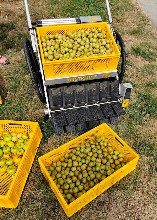 The Obstraupe Agroforestry Fruit and Nut Harvester! - Northwest Meadowscapes