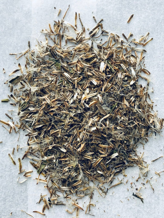 planting goldenrod seeds Canada Goldenrod Seeds (Solidago canadensis)