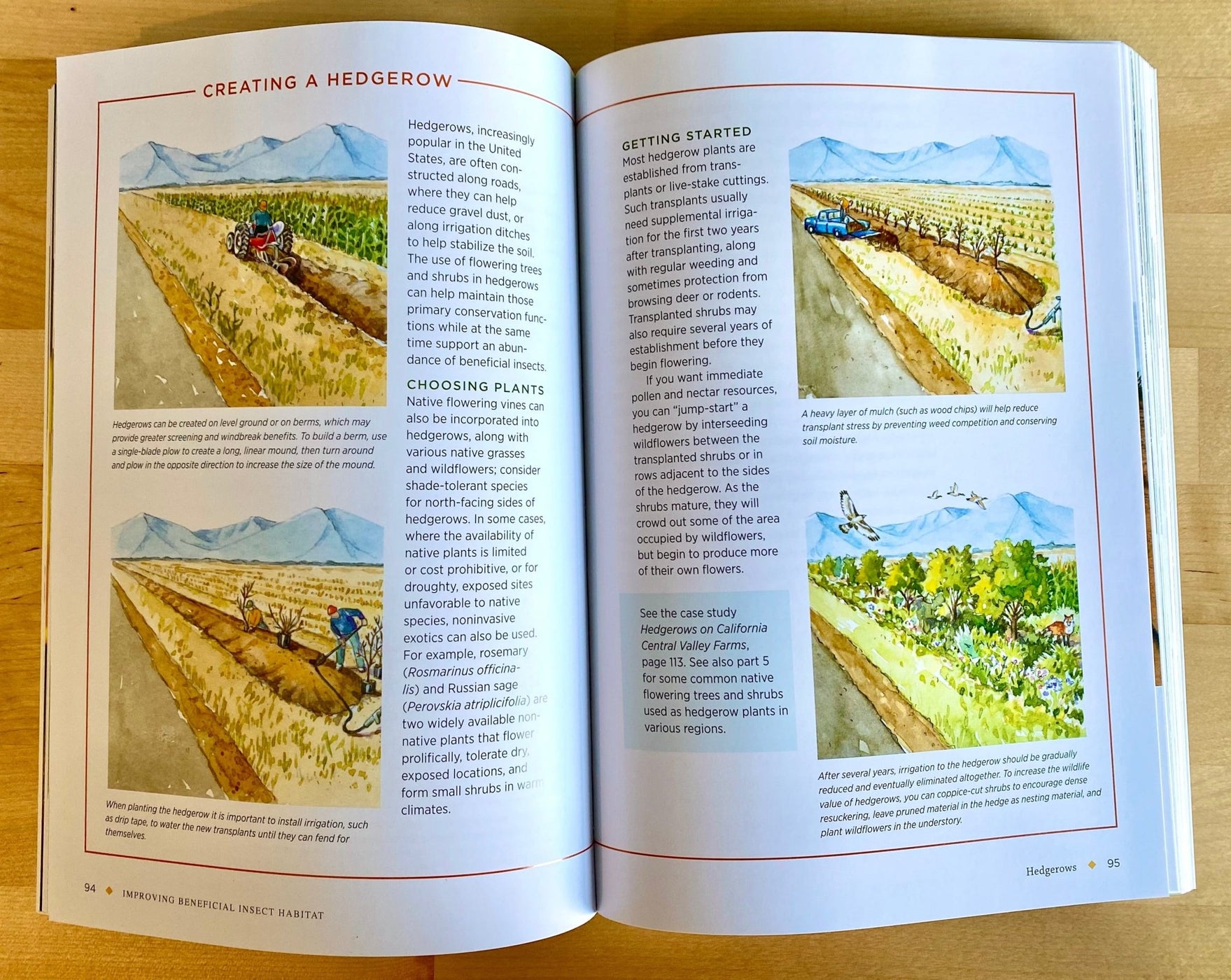 Farming with Native Beneficial Insects (A Xerces Society Guide Book