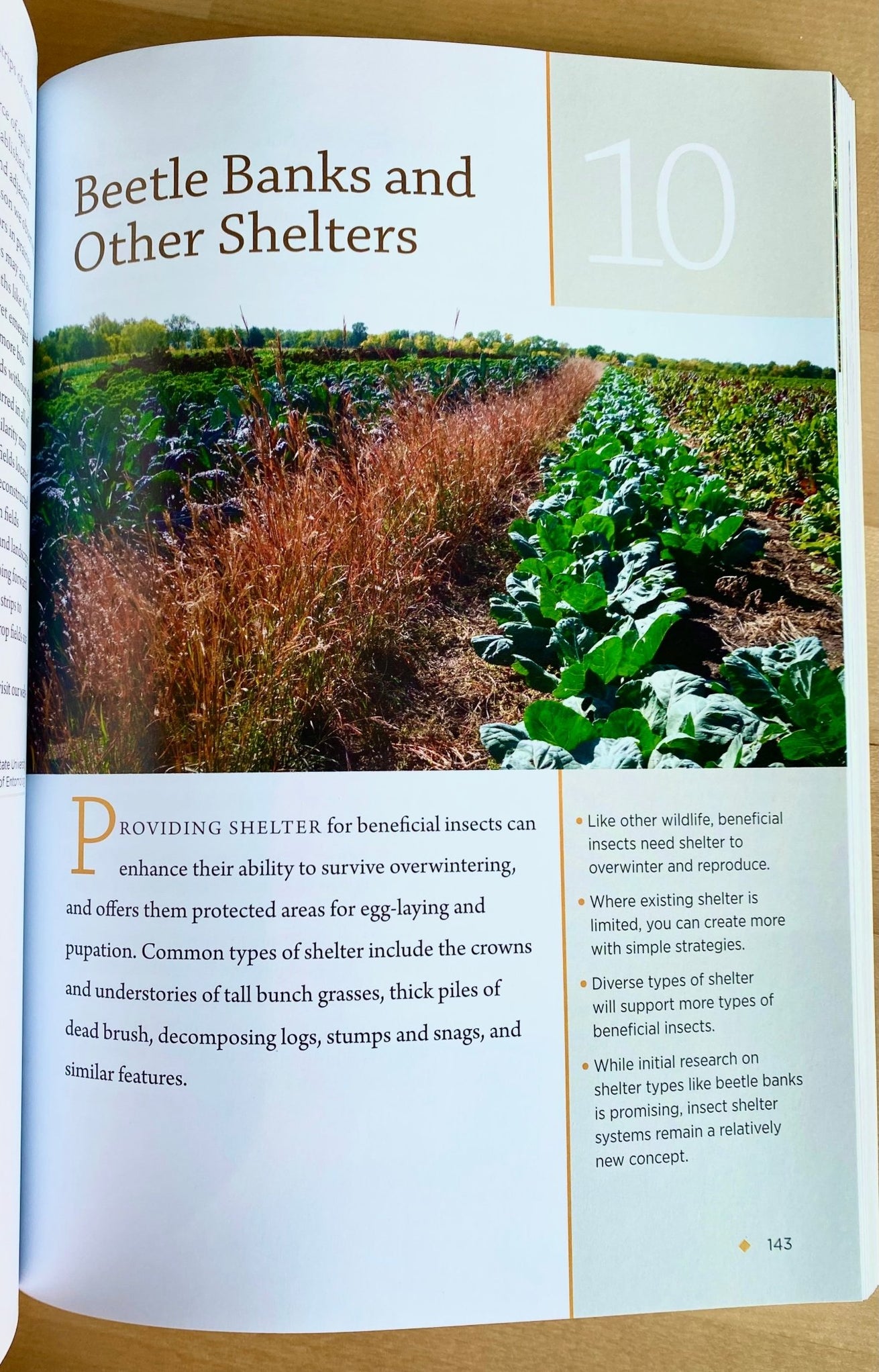 Farming with Native Beneficial Insects (A Xerces Society Guide Book