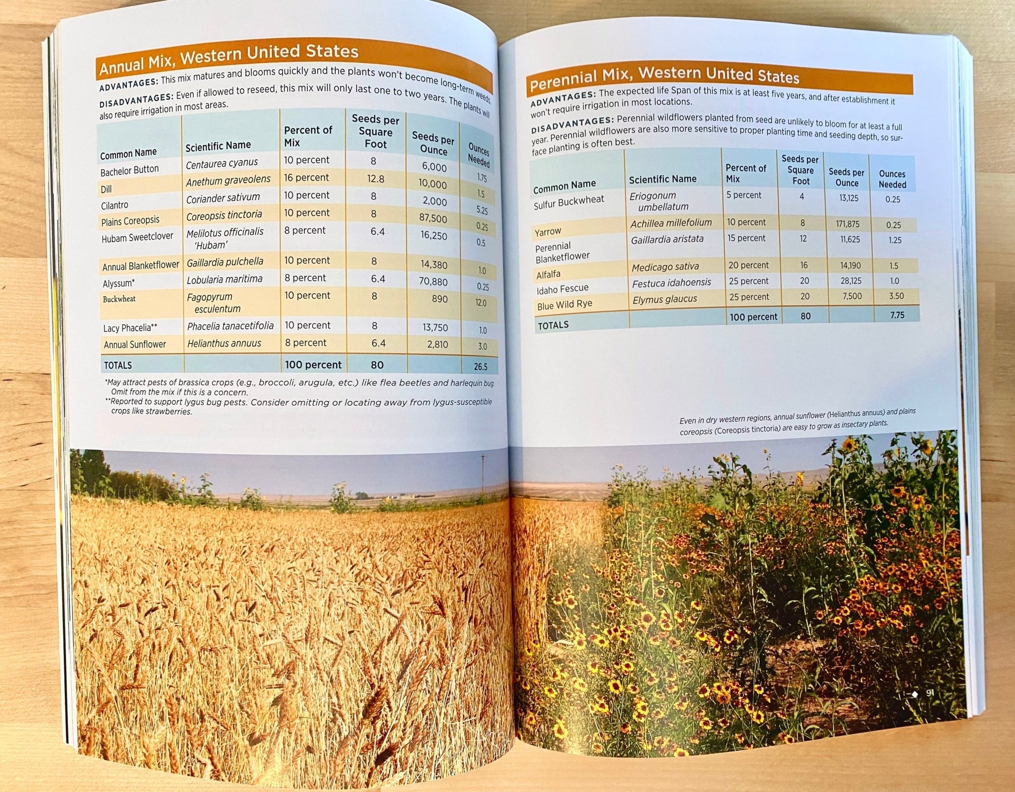 Farming with Native Beneficial Insects (A Xerces Society Guide Book